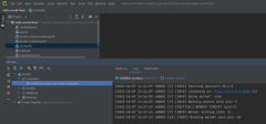 Screenshot eines Beispiels zum Ausführen eines Containers in PyCharm.