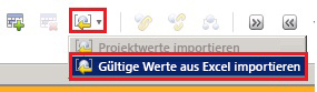 Gültige Werte aus Excel importieren (Menü)