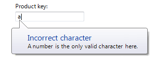 Screenshot des Product Key-Textfelds