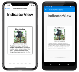 IndicatorView(Beispiel) IndicatorView(Beispiel)