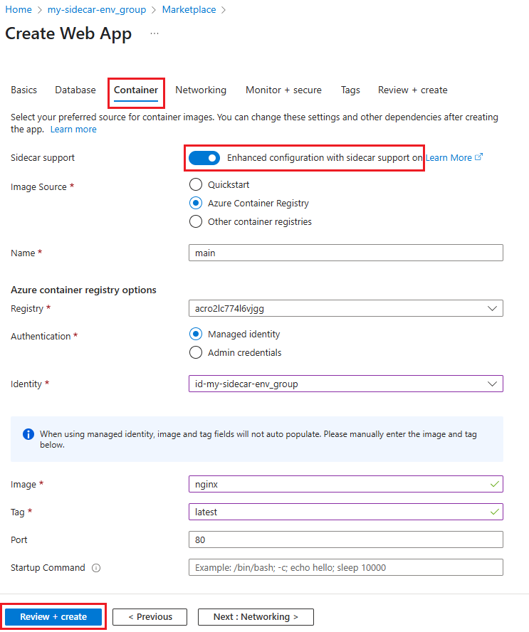 Screenshot showing the Container settings for the Linux custom container web app.