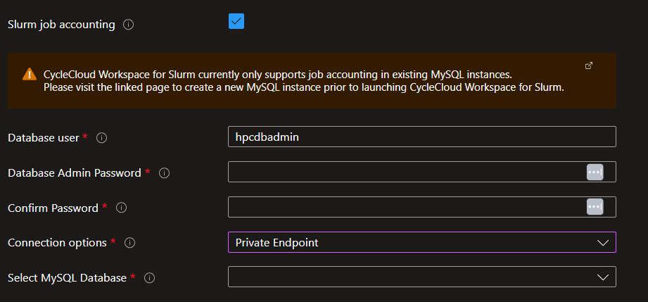 Screenshot of the Slurm Setting options for job accounting database, direct FQDN.