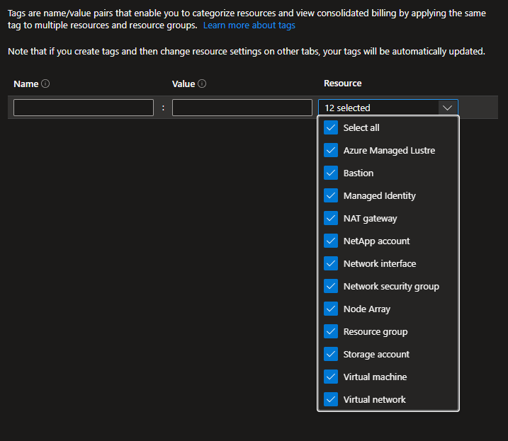 Screenshot of the Tags options.