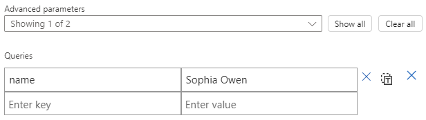 Screenshot that shows the function information pane with the Queries parameter and example key-value inputs.