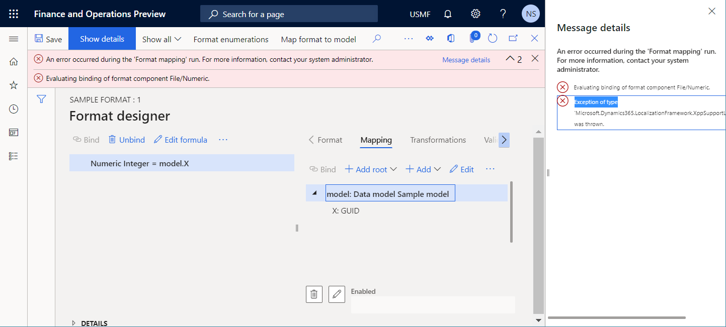 Screenshot of runtime errors on the Format designer page.