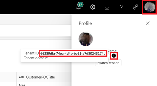 Screenshot showing tenant ID.