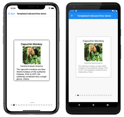 Templated IndicatorView Screenshot of a templated IndicatorView, on iOS and Android