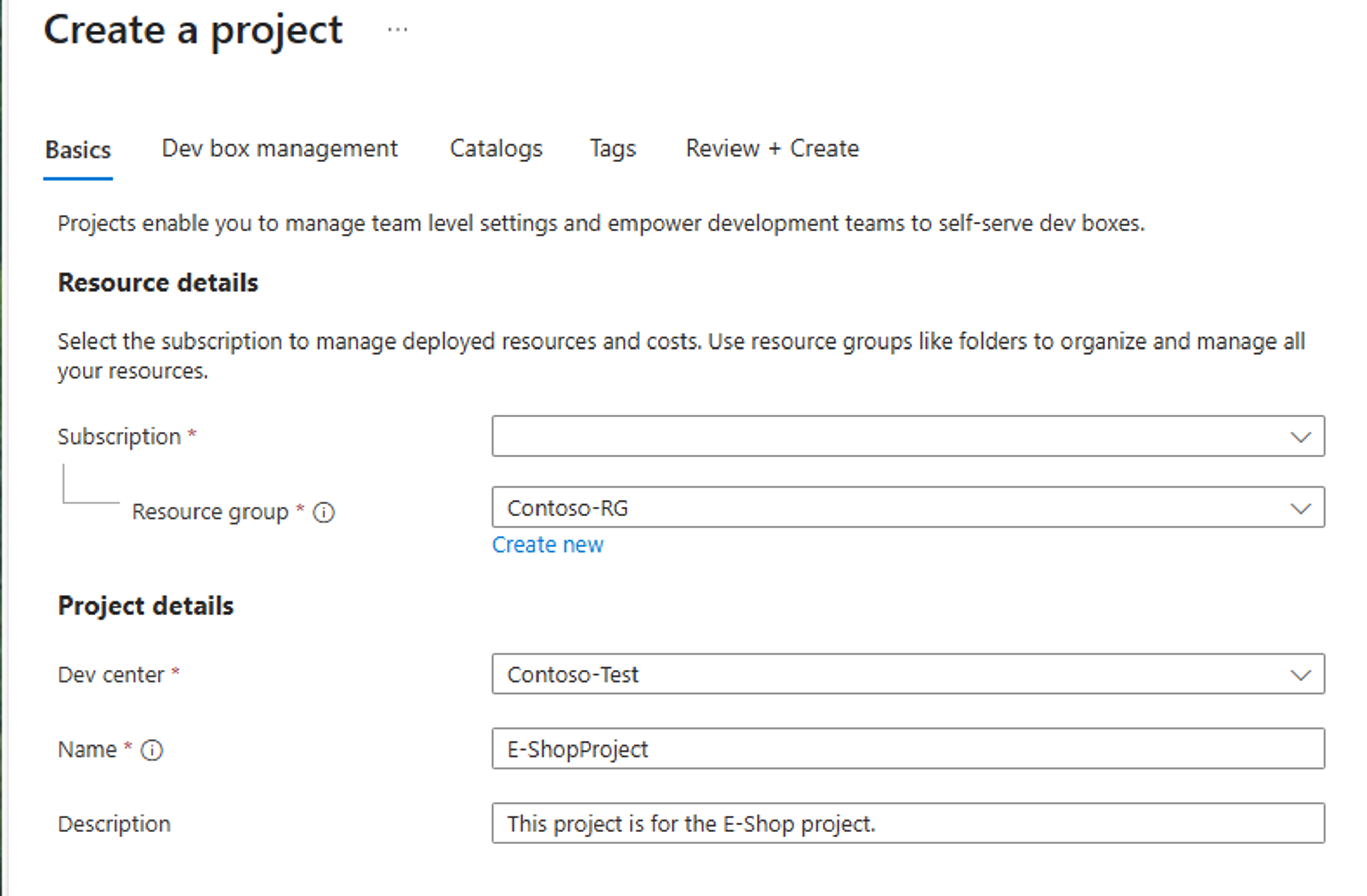 Screenshot of project creation Basics tab.