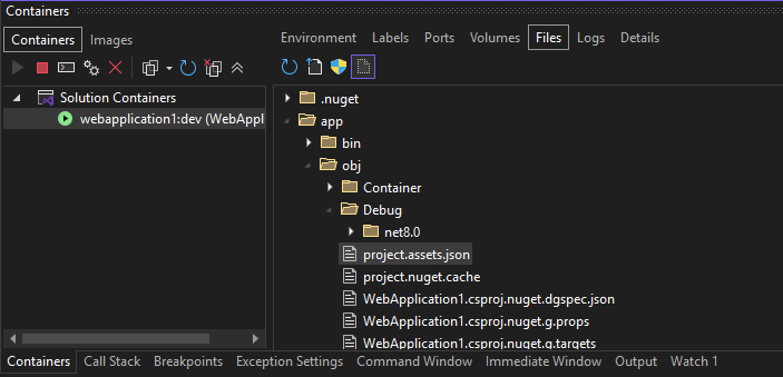 Screenshot of Files tab in Containers window.