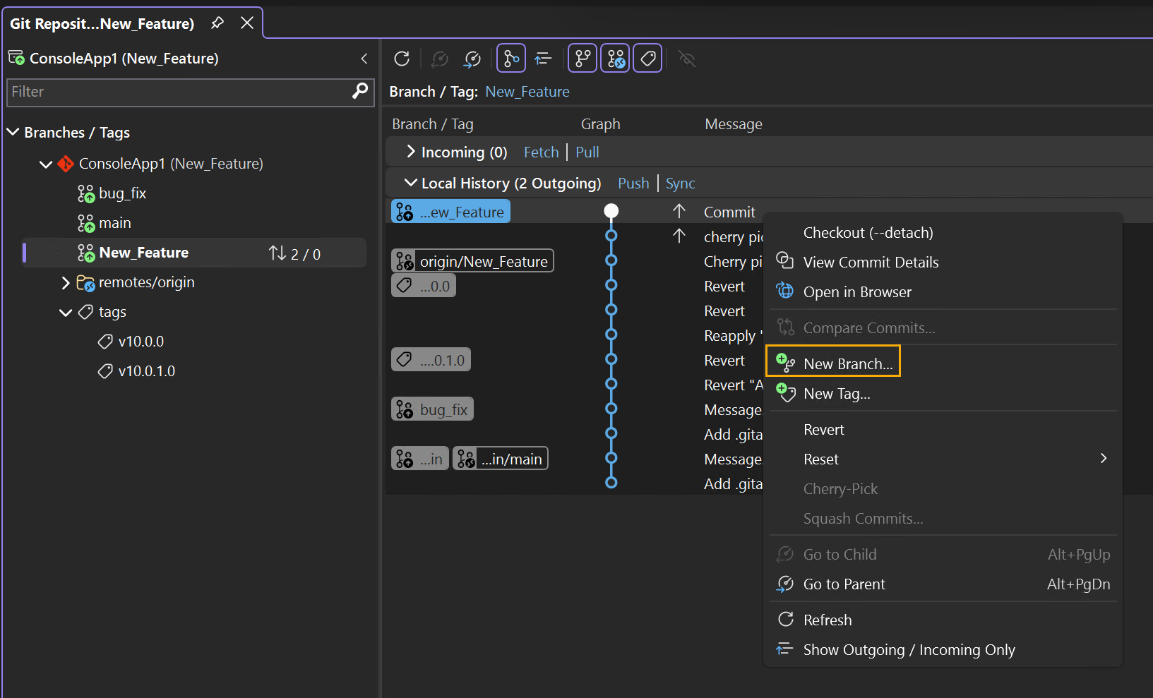 Screenshot of the Git Graph pane of the Git Repository window.