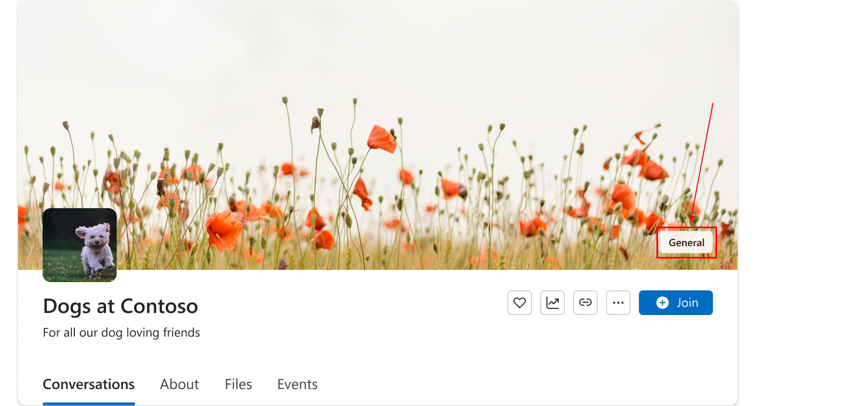 A screenshot showing the sensitivity label visible to users in the community header.