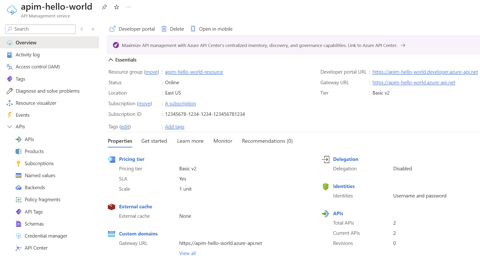 Captura de pantalla que muestra la sección de información general de la instancia de API Management.