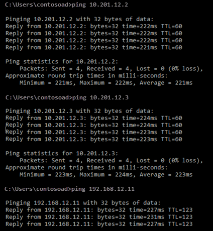 Captura de pantalla que muestra el comando ping y los resultados del ping.