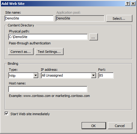 Deje el cuadro Nombre de host en blanco, a menos que desee configurar un registro del Sistema de nombres de dominio (DNS) para el sitio web y, a continuación, haga clic en Aceptar.
