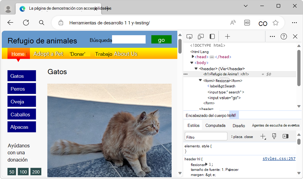 Página de demostración con DevTools junto a ella