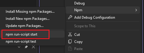Ejecutar un script de inicio desde el menú de npm