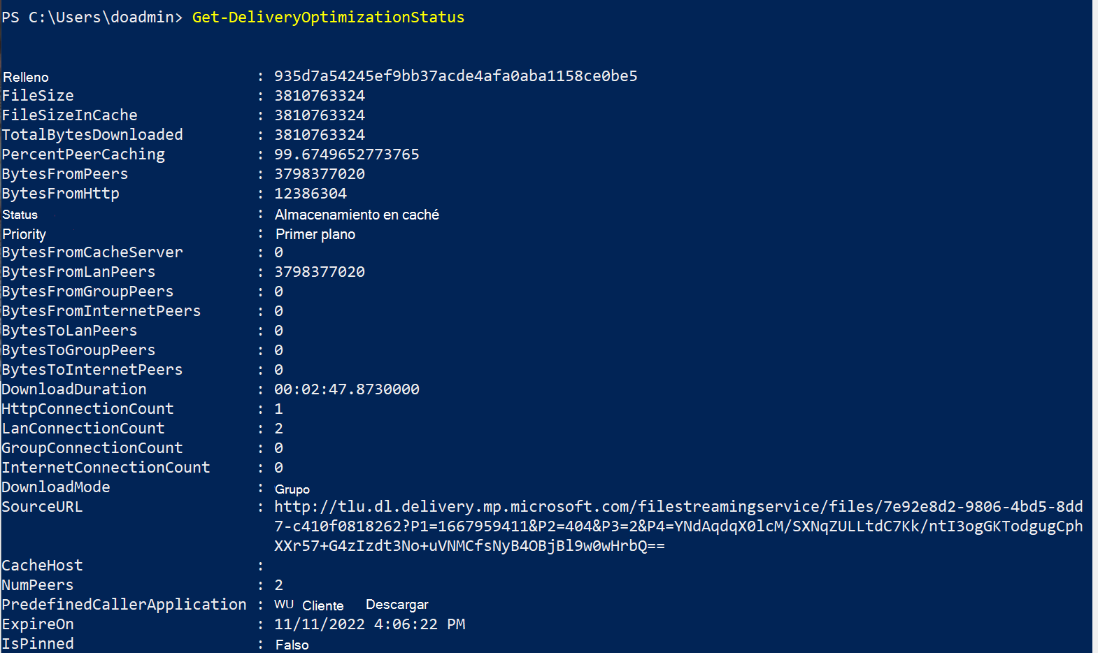 Windows 10 21H2 - Máquina 3 - Prueba avanzada.