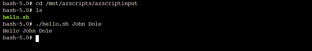 Captura de pantalla de la salida de prueba de la instancia de contenedor del script de implementación que se muestra en la consola.
