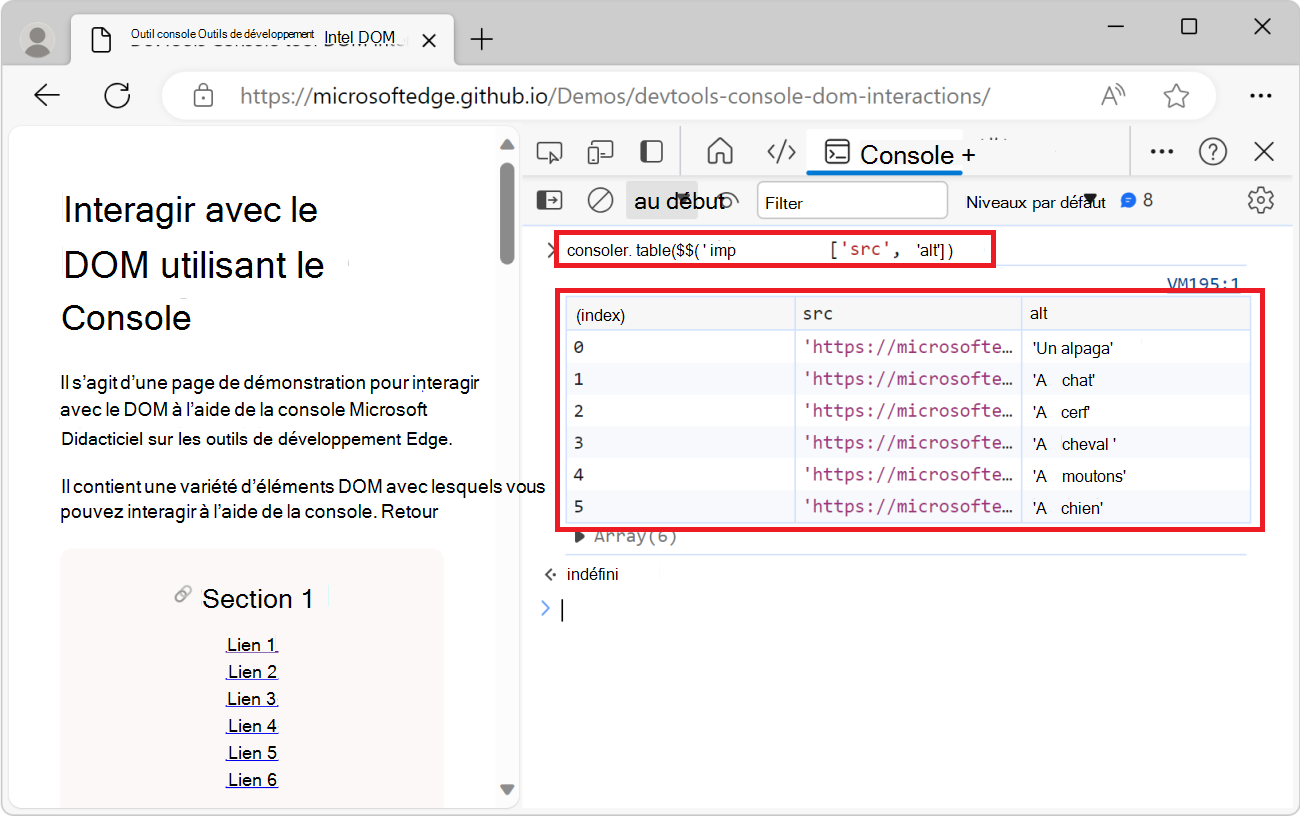 L’outil console, montrant la fonction console.table() et une table répertoriant toutes les images