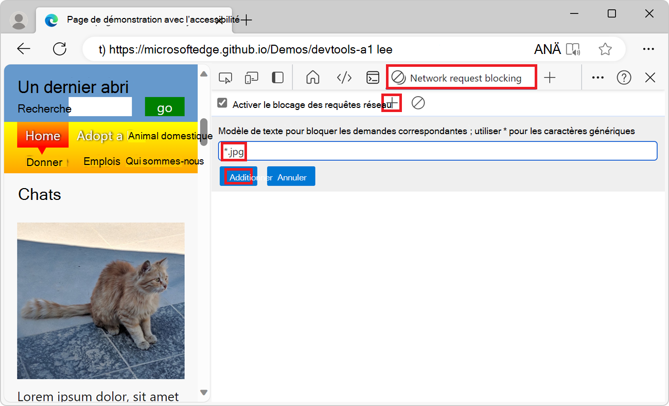 L’outil de blocage des requêtes réseau, montrant le nouveau modèle de blocage *.jpg