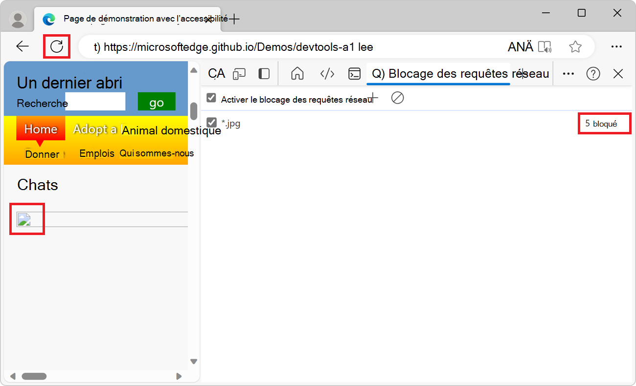 L’outil de blocage des requêtes réseau, bloquant toutes les images JPEG