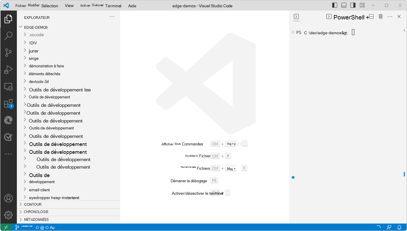 Visual Studio Code, maintenant configuré avec le code source