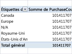 tableau croisé dynamique incorrect