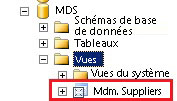 SQL Server Management Studio - Vue mdm.Suppliers