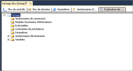 Capture d'écran de l'onglet Explorateur de package