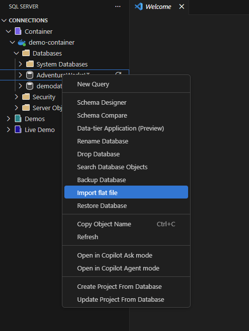 Capture d’écran de l’option Importer un fichier plat dans le menu contextuel de l’Explorateur d’objets.