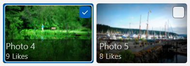 Une image dans une vue d'éléments avec une bordure bleue autour d'elle et une case à cocher cochée superposée pour indiquer la sélection, à côté d'une image non sélectionnée sans bordure et une case à cocher non cochée.