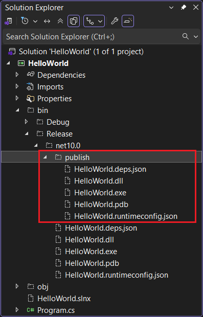 Solution Explorer mostra i file pubblicati.