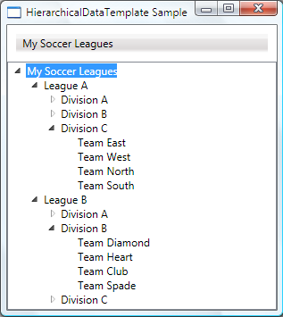 Screenshot di esempio di HierarchicalDataTemplate