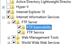 Screenshot che mostra l'opzione F T P Extensibility selezionata per Windows 8.