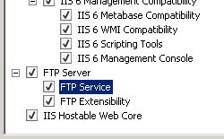 Screenshot del riquadro Server Web I S con l'opzione F T P Service evidenziata.