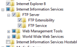 Screenshot della cartella Internet Information Services con lo stato attivo sulla cartella F T P Service selezionata.