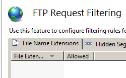 Screenshot del riquadro Filtro richieste F T P. È selezionata la scheda Estensioni nome file.