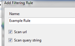 Screenshot che mostra la finestra di dialogo Aggiungi regola di filtro con il campo Nome, Scan you are l and Scan query string boxed entrambe selezionate.