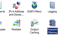 Screenshot che mostra l'opzione Request Filtering selezionata.