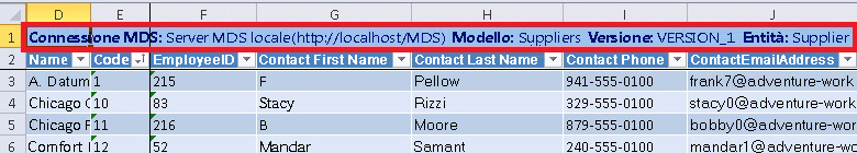 Excel - Visualizzazione dettagli connessione MDS