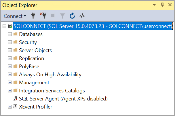 Screenshot della connessione a un server on-premise.