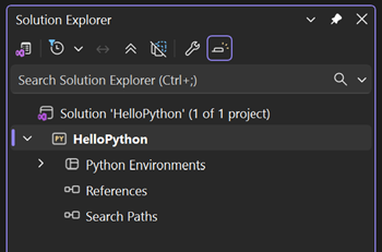 Schermata che mostra il progetto Web Python vuoto recentemente creato in Esplora soluzioni.