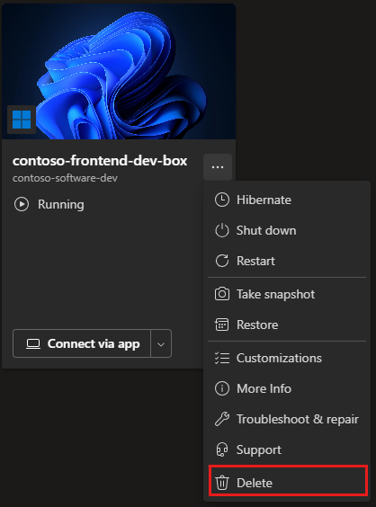 삭제 명령이 있는 개발 상자 작업 메뉴의 스크린샷.
