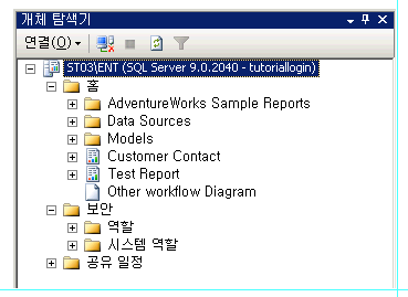 보고서 서버가 있는 개체 탐색기