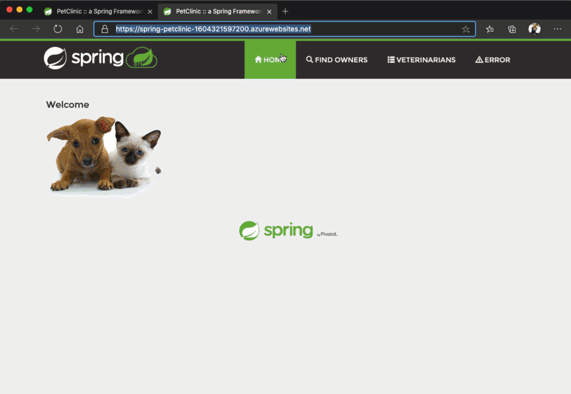 배포된 예제 애완 동물 클리닉 애플리케이션의 스크린샷.