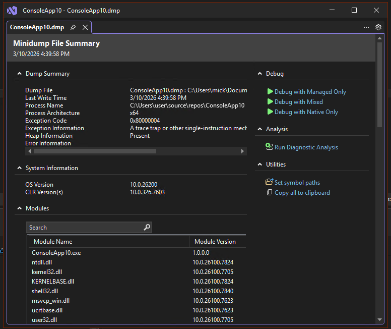 미니덤프 요약 페이지를 보여 주는 스크린샷.