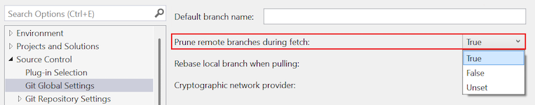 드롭다운 목록에서 'True'가 선택된 상태로 강조 표시된 '인출 중 원격 분기 정리' 옵션을 보여 주는 스크린샷.
