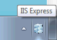 iis Express-systeemvakpictogram