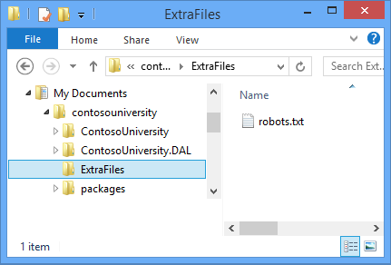 ExtraFiles-map