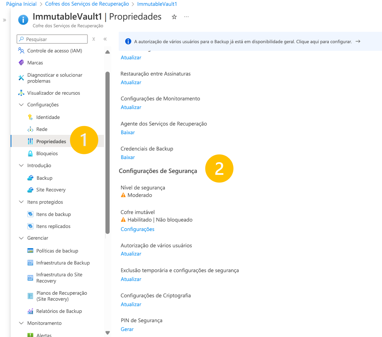 Captura de tela mostrando como abrir as configurações do cofre imutável para desabilitar.